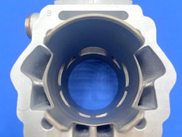 Gruppo termico DERBI euro 3 (D50B0) d.55 corsa 46MM - 110cc