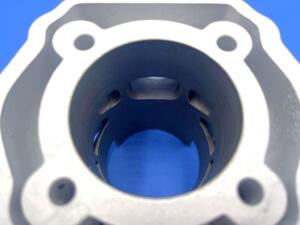 Gruppo termico DERBI euro 3 (D50B0) d.55 corsa 46MM - 110cc