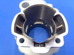 Gruppo Termico Minarelli AM6 d.55 -110cc