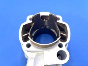 Gruppo Termico Minarelli AM6 d.55 -110cc