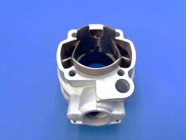 Gruppo Termico Minarelli AM6 d.55 -110cc