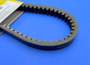 Cinghia variatore PEUGEOT Buxy