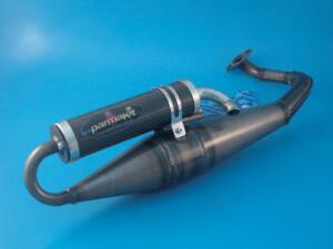 Muffler PGT Ludix carbon silen. ERM