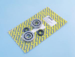 Ball BeRing set  PGT Speedfight