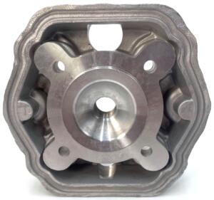 Testa PGT Speedfight LC d.47