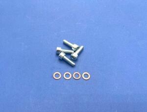 Bag 4 of allen screws  TCE 6x18 + 4 coppers washer