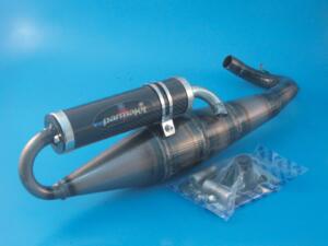 Muffler Sfera carbon sil. ERM