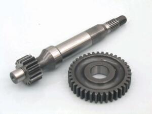 Rapporti  allungati primari Piaggio  Free  d.18 Z15/38