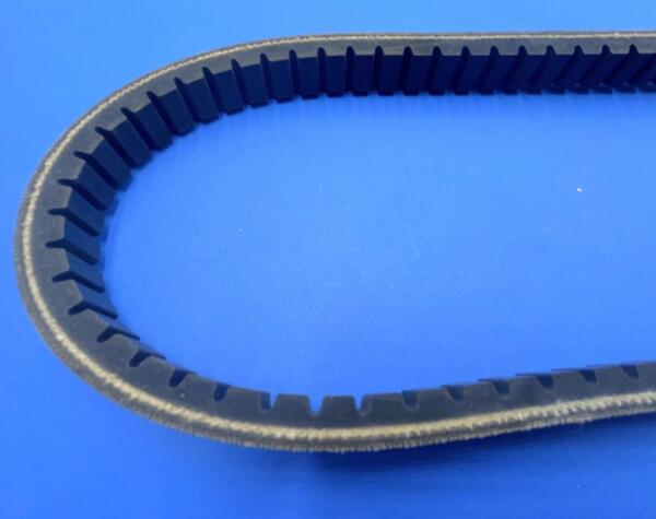 Cinghia variatore Piaggio SP 2004> (L.31) Rinforzata