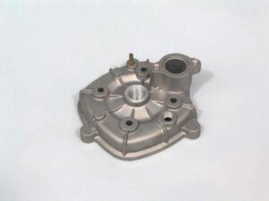 Head Piaggio NRG d.40