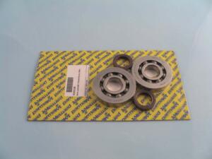 Serie cuscinetti + Paraoli Runner 180cc
