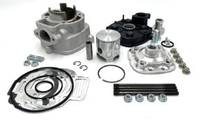 Thermic Unit TROFEO Piaggio NRG d.47