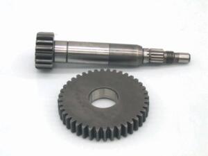 Rapporti primari Malaguti F10 Z15-42