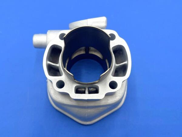 G.T "GP1" Yamaha Aerox  d.50 corsa 43