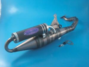 Muffler Yamaha Aerox carb. sil. - ERM